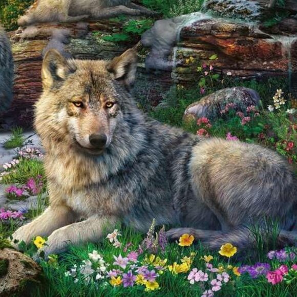 New sealed Ravensburger 1500pcs Puzzle-Wolves In Spring  | Adult Puzzles - Picture 3 of 12